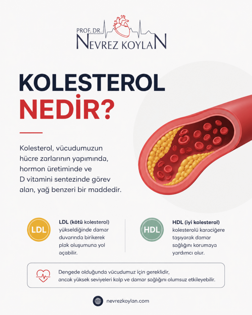 **Kısa alt text:**
"Kolesterol nedir başlıklı, LDL ve HDL kolesterol bilgileri ile damar içi plak birikimini gösteren minimalist tıbbi infografik."