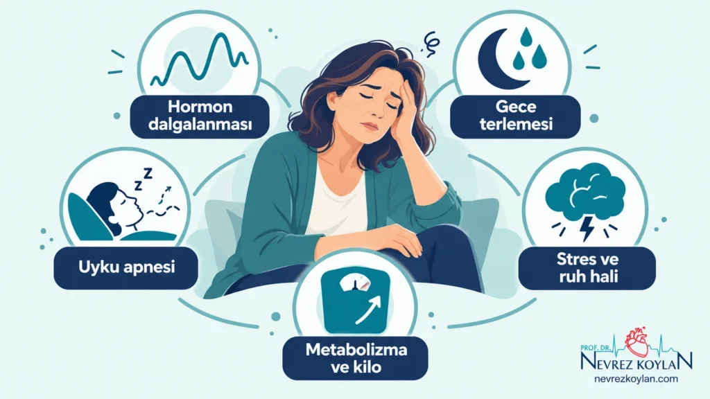 Menopoz yorgunluğunun nedenleri: hormon dalgalanması, gece terlemesi, uyku apnesi, ruh hali ve metabolik değişiklikler