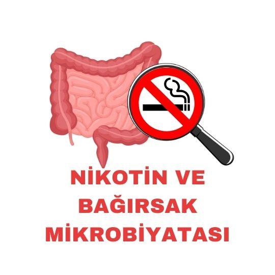 Nikotin ve bağırsak mikrobiyatası