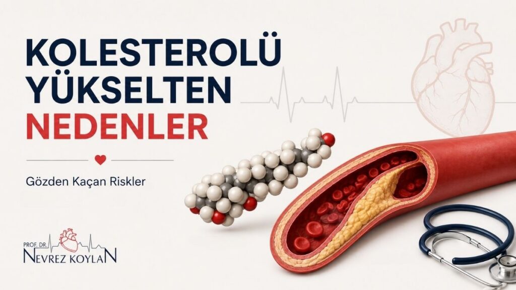 Kolesterolü yükselten nedenleri anlatan, kolesterol molekülü ve tıkalı damar görselleri içeren minimalist kalp sağlığı infografiği.