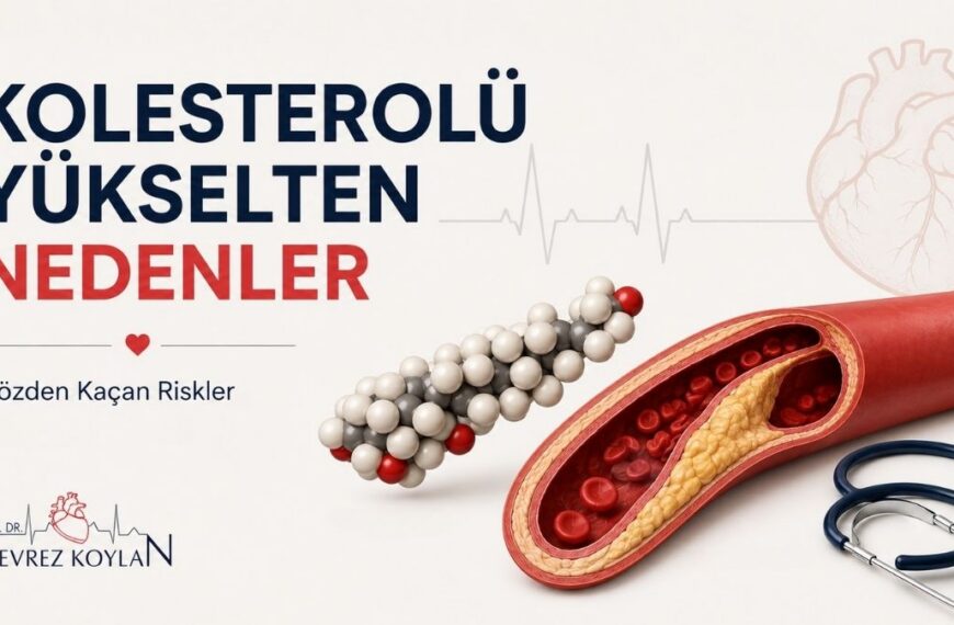 Kolesterolü yükselten nedenleri anlatan, kolesterol molekülü ve tıkalı damar görselleri içeren minimalist kalp sağlığı infografiği.