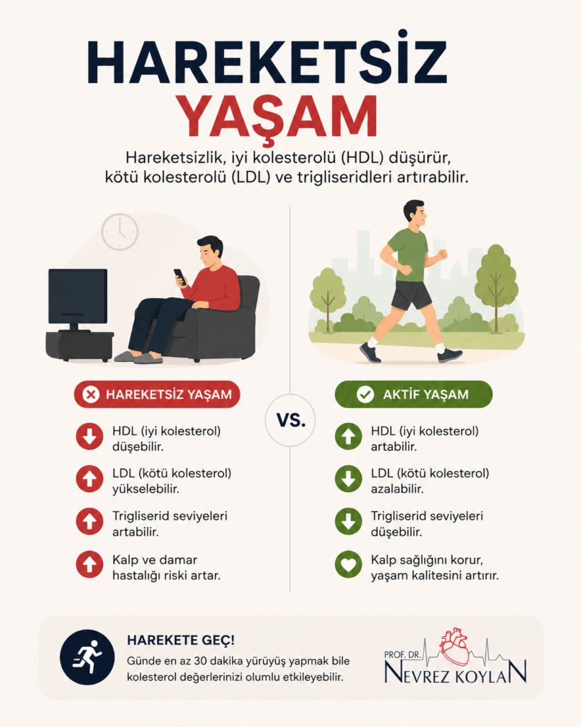 Hareketsiz yaşamın kolesterol ve kalp sağlığı üzerindeki etkilerini gösteren minimalist sağlık infografiği.