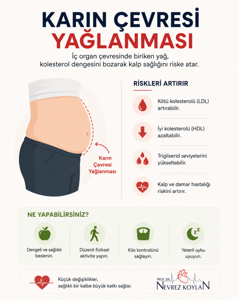 Karın çevresi yağlanmasının kolesterol ve kalp sağlığı üzerindeki etkilerini gösteren minimalist sağlık infografiği.