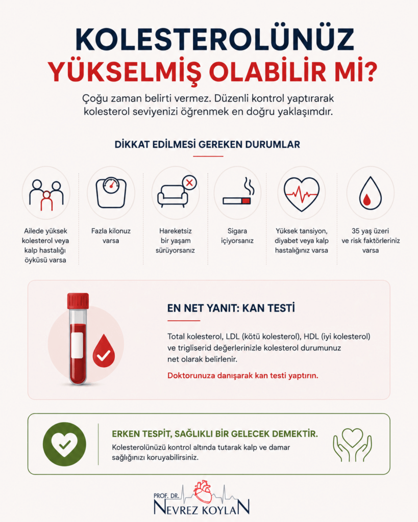 “Yüksek kolesterol risk faktörleri ve düzenli kan testinin önemini anlatan minimalist sağlık infografiği.”
