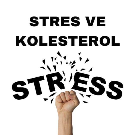 Stres ve kolesterol