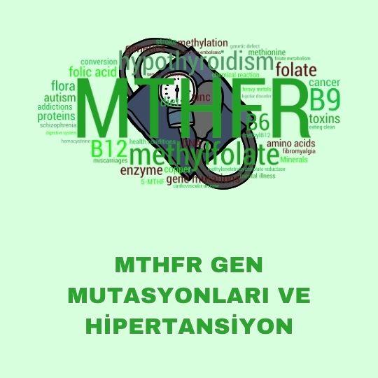 MTHFR gen mutasyonları ve hipertansiyon