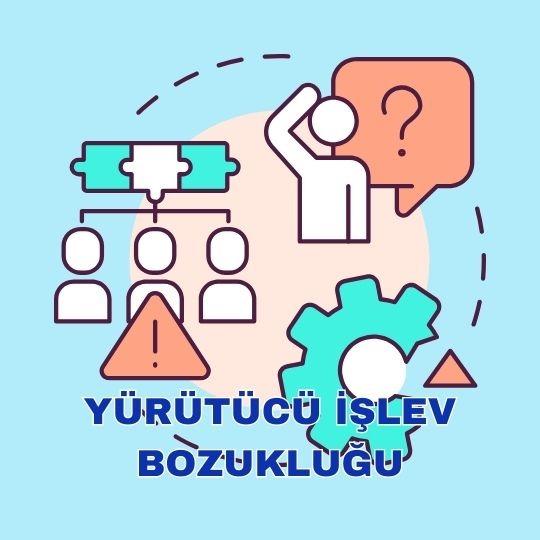 Yürütücü işlev bozukluğu