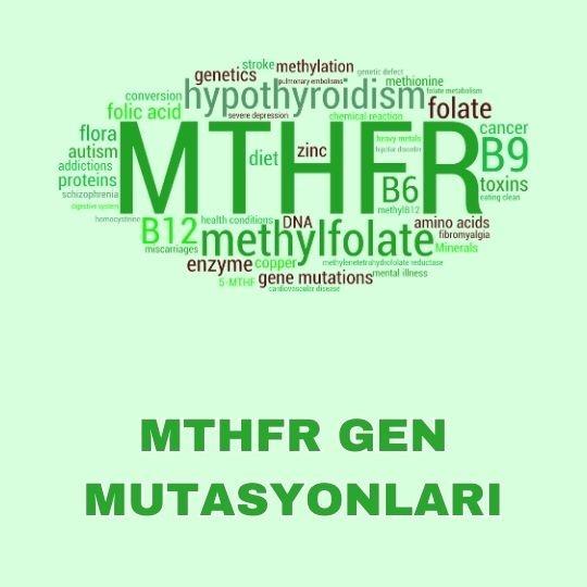 MTHFR gen mutasyonları