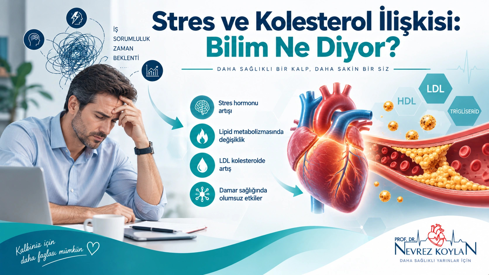 Stres ve kolesterol ilişkisini anlatan, kalp ve kortizol molekülü illüstrasyonlu Prof. Dr. Nevrez Koylan blog kapağı