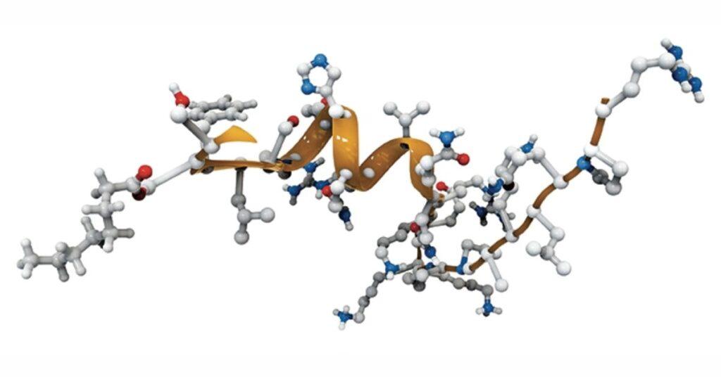 ghrelin nedir