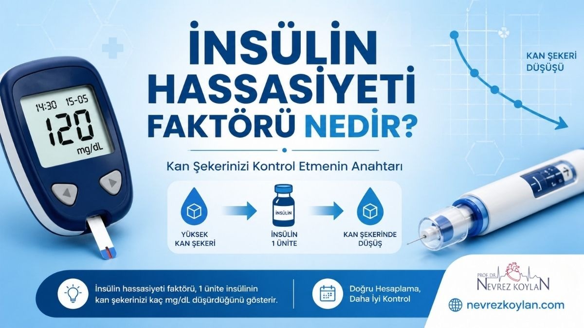 İnsülin hassasiyeti faktörünü anlatan, solda 120 mg/dL gösteren glukoz ölçüm cihazı, sağda insülin kalemi ve ortada kan şekeri düşüşünü simgeleyen grafik bulunan mavi tonlarda modern tıbbi kapak görseli; üzerinde ‘İnsülin Hassasiyeti Faktörü Nedir?’ ve ‘Kan Şekerinizi Kontrol Etmenin Anahtarı’ yazıları yer alıyor, sağ altta nevrezkoylan.com logosu bulunuyor.