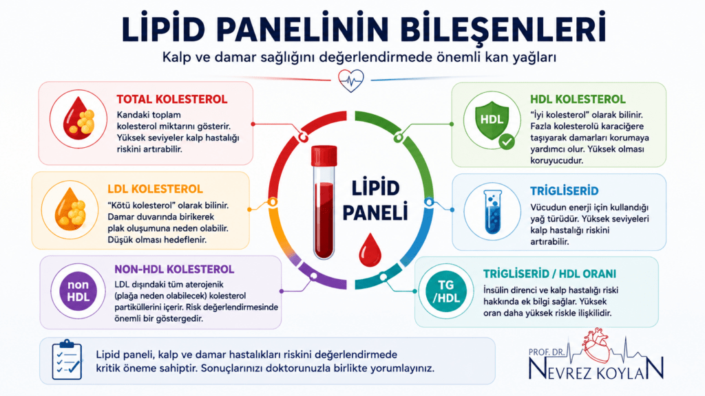 Lipid panelinin bileşenlerini açıklayan infografik; total kolesterol, LDL kolesterol, HDL kolesterol, trigliserid ve non-HDL kolesterolün kalp-damar sağlığı açısından önemini gösteriyor.