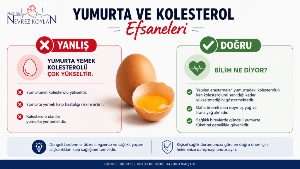 Yumurta ve kolesterol efsanelerini açıklayan infografik; yumurta tüketiminin kolesterol üzerindeki etkileri, yaygın yanlış inanışlar ve güncel bilimsel gerçekler karşılaştırmalı olarak gösteriliyor.