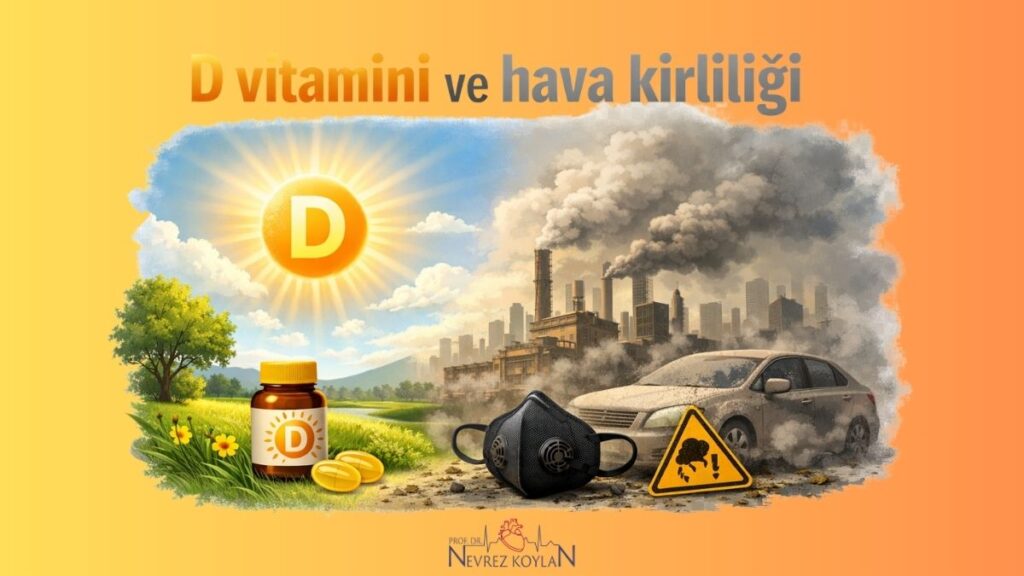D vitamini ve hava kirliliği konulu blog yazısı kapak görseli