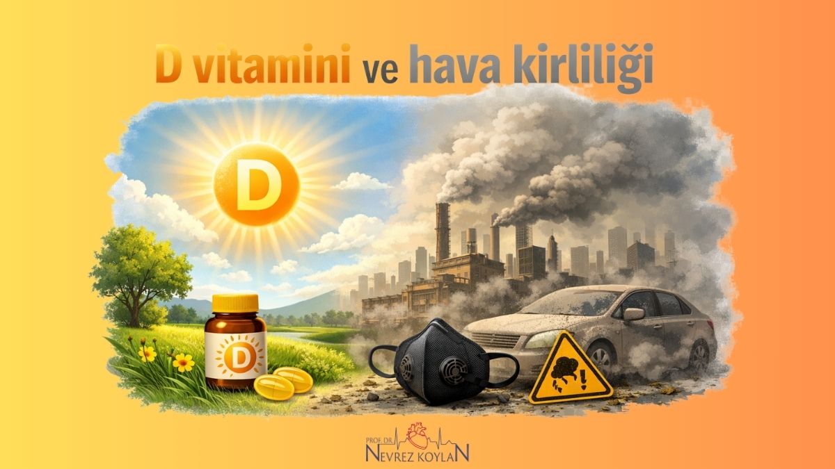 D vitamini ve hava kirliliği konulu blog yazısı kapak görseli