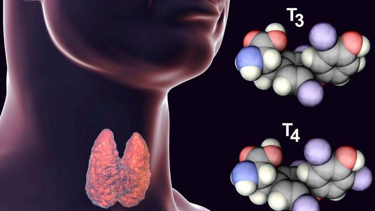 Tiroid Hormonları: Vücudunuzun Gizli Kahramanları