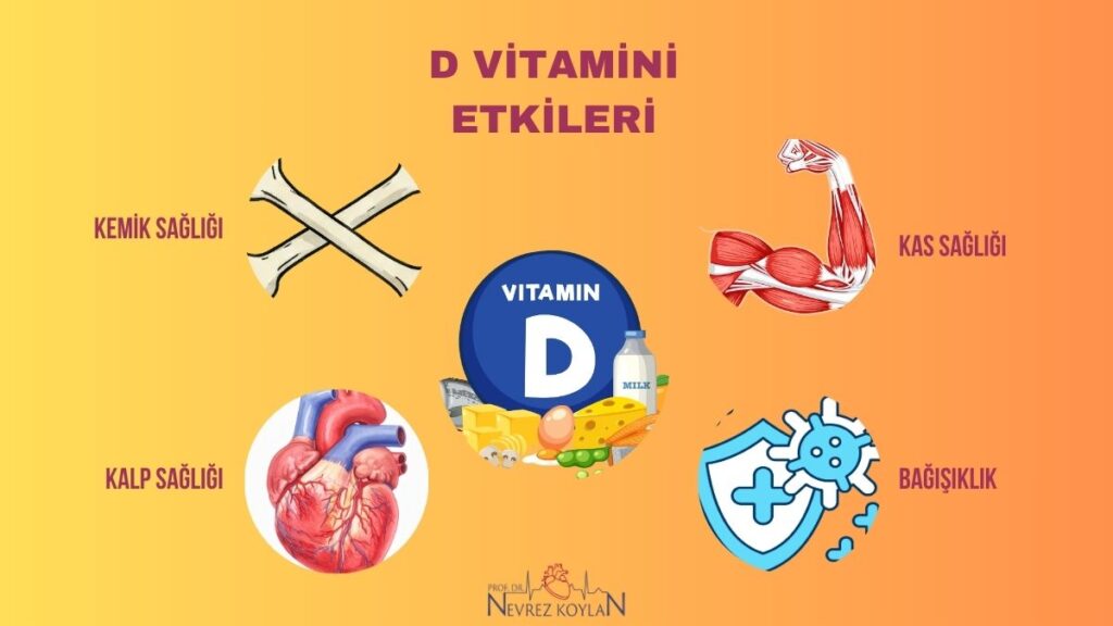 D vitamini etkileri