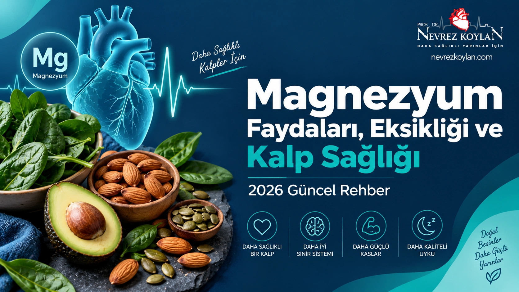 Magnezyum faydaları, eksikliği ve kalp sağlığı ilişkisini anlatan 2026 güncel blog yazısı kapak görseli