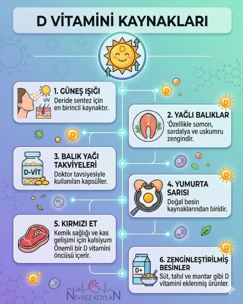 D vitamini kaynakları konulu infografik