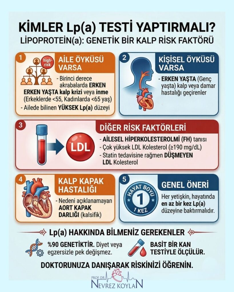 Kimlerin Lipoprotein(a) testi yaptırması gerektiğini gösteren; aile öyküsü, kapak hastalığı ve dirençli kolesterol maddelerini içeren kontrol listesi infografiği.