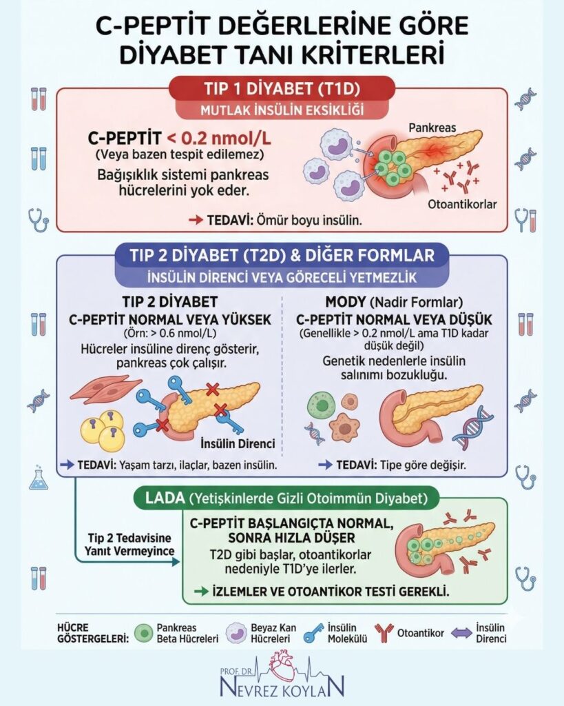 C-peptit değerlerine göre diyabet tanı kriterleri konulu infogafik