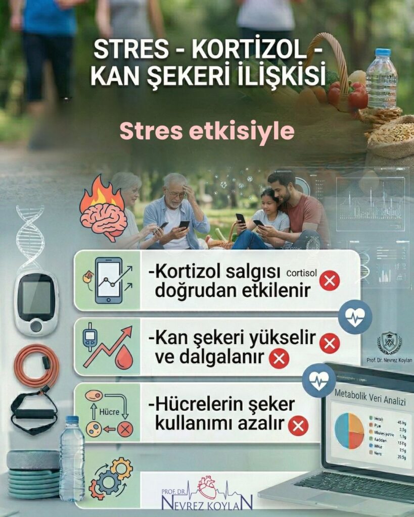 Stres, kortizol ve kan şekeri ilişkisini anlatan infografik: stres etkisiyle kortizol salgısının arttığı, kan şekerinin yükselip dalgalandığı ve hücrelerin glikoz kullanımının azaldığını gösteren görsel; yanında glukometre, egzersiz ekipmanları ve sağlıklı yaşam unsurları yer alıyor.