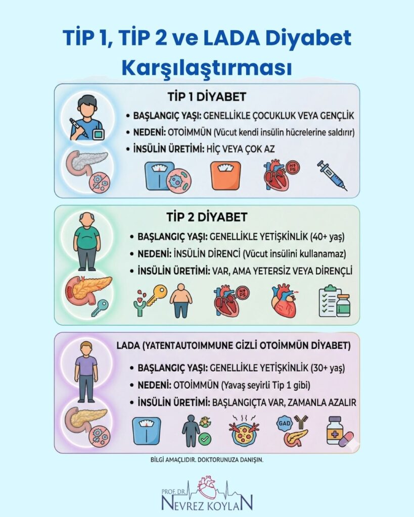 TİP 1, TİP 2 ve LADA Diyabet Karşılaştırması infografik görseli