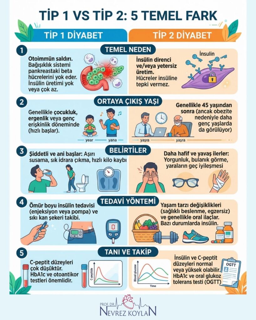 Tp 1 vs tip 2 diyabet arasındaki 5 temel fark konulu infografik görseli
