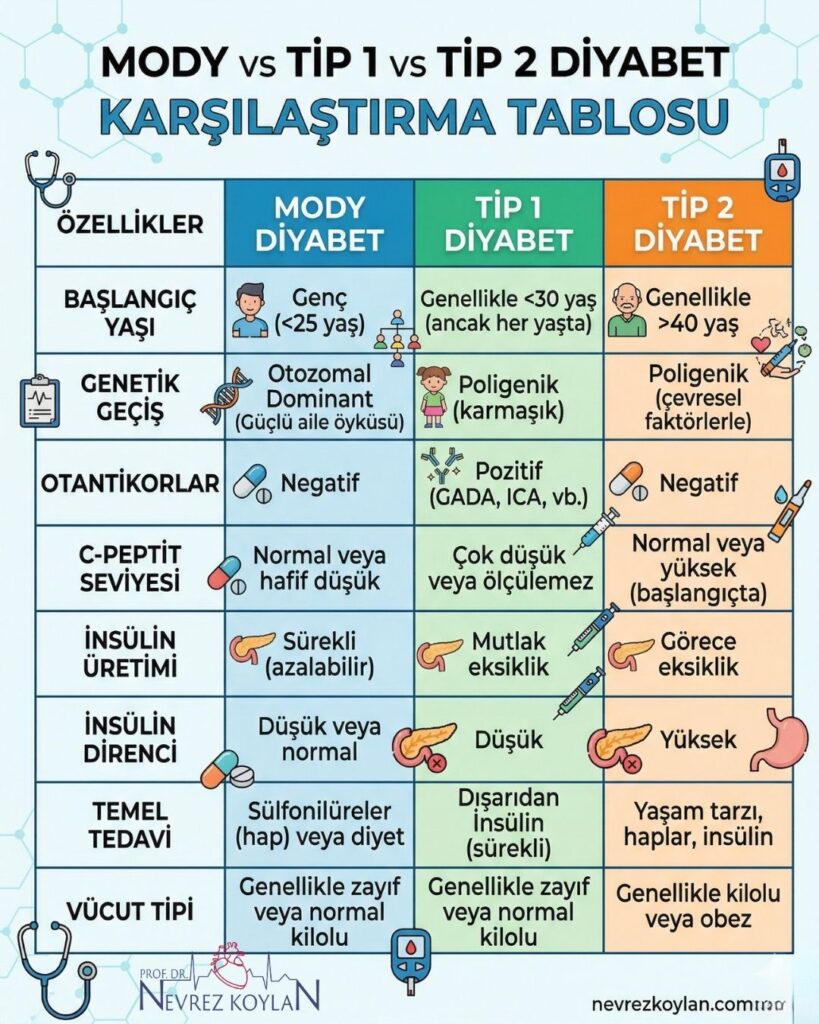 MODY vs Tip 1 vs Tip 2 Diyabet karşlaştırma tablosu konulu görsel