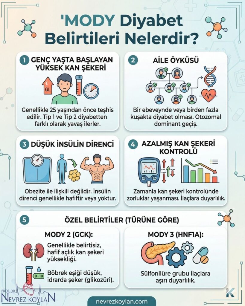 MODY Diyabet belirtileri nelerdir konulu infografik görseli