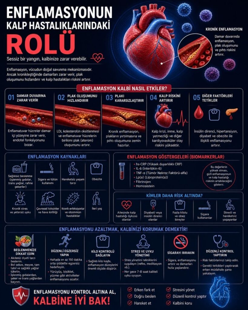 Enflamasyonun kalp hastalıklarındaki rolünü anlatan modern bir sağlık infografiği. Koyu mavi arka plan üzerinde ortada anatomik bir kalp ve damar içinde iltihaplanmayı temsil eden kızarık, parlak alanlar yer alıyor. Üst bölümde “Enflamasyon ve Kalp Sağlığı” başlığı bulunuyor. Sol tarafta kronik inflamasyon, bağışıklık sistemi aktivasyonu ve ateroskleroz gelişimi ikonlarla açıklanmış. Sağ bölümde ise CRP ve diğer inflamatuar biyobelirteçler, plak oluşumu ve damar daralması grafiklerle gösteriliyor. Alt kısımda sağlıklı beslenme, egzersiz ve stres yönetimi gibi inflamasyonu azaltmaya yönelik yaşam tarzı önerileri simgelerle vurgulanıyor.