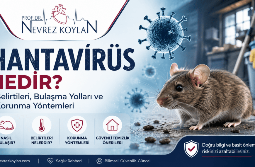 “Hantavirüs Nedir?” başlıklı 16:9 oranlı tıbbi bilgilendirme görseli. Sol üstte Prof. Dr. Nevrez Koylan logosu yer alıyor. Görselin merkezinde büyük puntolarla “Hantavirüs Nedir?” yazısı bulunuyor. Sağ tarafta zeminde duran gerçekçi bir fare görseli ve etrafında mavi tonlarda virüs partikülleri görülüyor. Arka planda temizlik ekipmanlarının bulunduğu loş bir depo ortamı dikkat çekiyor. Alt bölümde hantavirüsün bulaşma yolları, belirtileri, korunma yöntemleri ve güvenli temizlik önerilerini temsil eden minimalist ikonlar bulunuyor. Koyu mavi, beyaz ve bordo renk paleti kullanılan görsel, bilimsel ve modern bir sağlık rehberi tasarımı sunuyor.