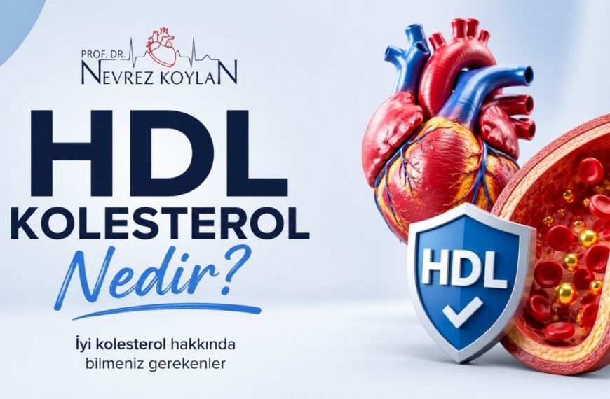 Minimalist sağlık temalı görselde “HDL Kolesterol Nedir?” başlığı, Prof. Dr. Nevrez Koylan logosu, kalp görseli ve damar kesiti yanında HDL koruma kalkanı yer alıyor. Açık mavi ve beyaz tonlardaki tasarım, iyi kolesterolün kalp sağlığı üzerindeki koruyucu etkisini modern bir görünümle vurguluyor.