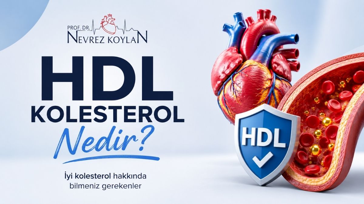 Minimalist sağlık temalı görselde “HDL Kolesterol Nedir?” başlığı, Prof. Dr. Nevrez Koylan logosu, kalp görseli ve damar kesiti yanında HDL koruma kalkanı yer alıyor. Açık mavi ve beyaz tonlardaki tasarım, iyi kolesterolün kalp sağlığı üzerindeki koruyucu etkisini modern bir görünümle vurguluyor.
