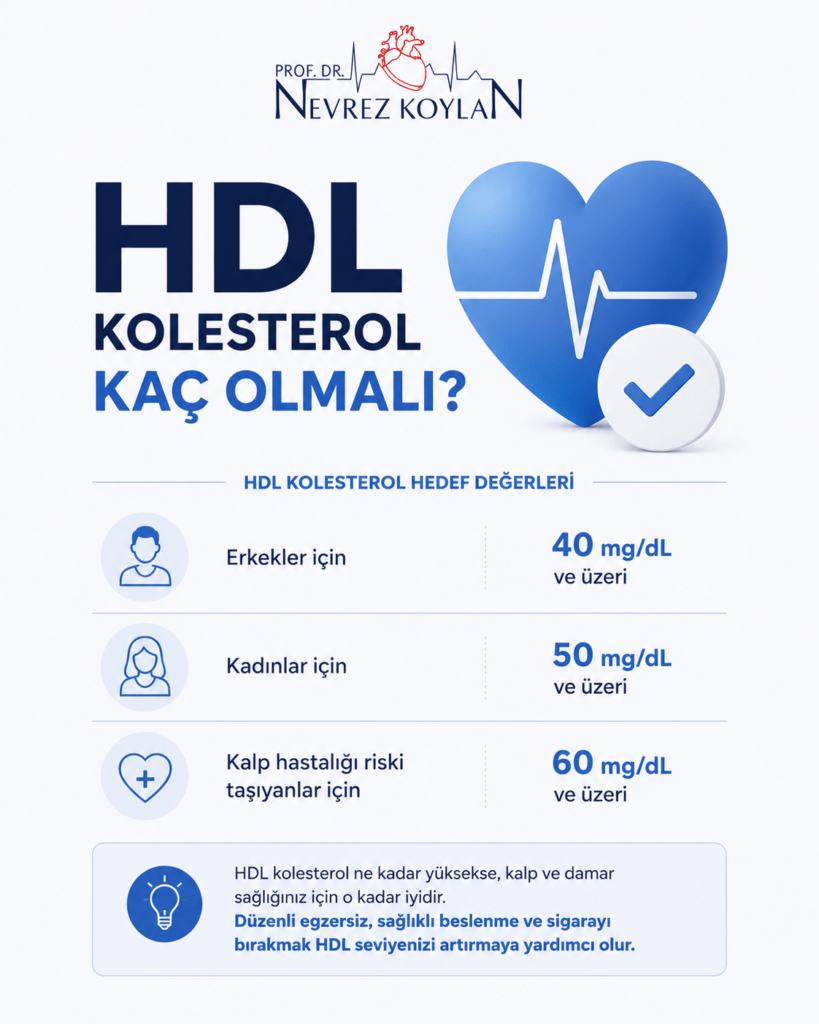 HDL kolesterol için ideal değerleri gösteren minimalist infografik; erkekler, kadınlar ve kalp hastalığı riski taşıyanlar için önerilen HDL seviyelerini kalp sağlığı ikonlarıyla anlatıyor.
