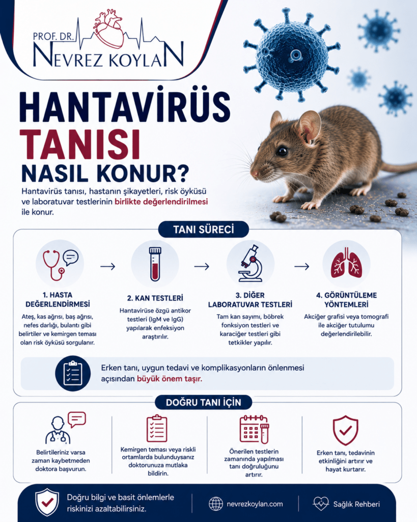 “Hantavirüs Tanısı Nasıl Konur?” başlıklı 4:5 oranlı tıbbi bilgilendirme görseli. Üst bölümde Prof. Dr. Nevrez Koylan logosu bulunuyor. Sağ tarafta gerçekçi bir fare görseli ve etrafında mavi tonlarda virüs partikülleri yer alıyor. Sol tarafta büyük koyu mavi ve bordo yazılarla “Hantavirüs Tanısı Nasıl Konur?” başlığı dikkat çekiyor. Görselde hantavirüs tanısının hasta şikayetleri, risk öyküsü ve laboratuvar testlerinin birlikte değerlendirilmesiyle konduğu belirtiliyor. Orta bölümde tanı süreci ikonlarla anlatılıyor: hasta değerlendirmesi, kan testleri, diğer laboratuvar testleri ve görüntüleme yöntemleri. Hasta değerlendirmesi kısmında ateş, kas ağrısı, baş ağrısı, nefes darlığı ve bulantı gibi belirtiler ile kemirgen teması öyküsünün sorgulandığı belirtiliyor. Kan testleri bölümünde hantavirüse özgü antikor testleri (IgM ve IgG) vurgulanıyor. Görüntüleme kısmında akciğer grafisi ve tomografi ile akciğer tutulumunun değerlendirilebileceği ifade ediliyor. Alt bölümde “Erken tanı, uygun tedavi ve komplikasyonların önlenmesi açısından büyük önem taşır” mesajı yer alıyor. Görselin en altında nevrezkoylan.com adresi ve “Doğru bilgi ve basit önlemlerle riskinizi azaltabilirsiniz” mesajı bulunuyor. Tasarımda beyaz, lacivert ve bordo tonları kullanılarak modern ve güven veren bir sağlık rehberi görünümü oluşturulmuş.
