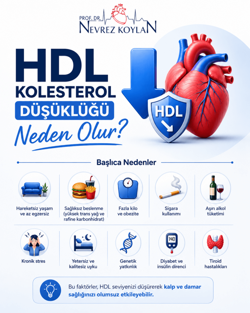 HDL kolesterol düşüklüğünün nedenlerini anlatan minimalist infografik; hareketsiz yaşam, sağlıksız beslenme, sigara, obezite ve genetik faktörleri kalp sağlığı temasıyla görselleştiriyor.
