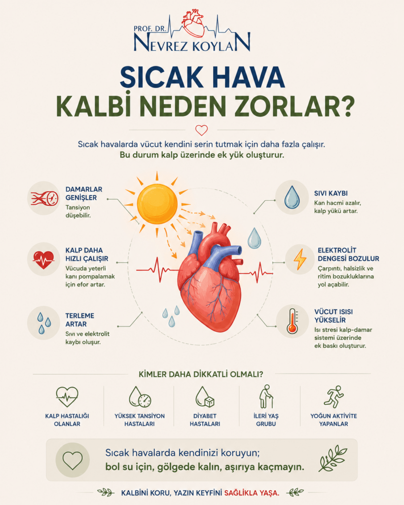 Minimalist tasarımlı 4:5 oranlı sağlık temalı infografikte üst bölümde Prof. Dr. Nevrez Koylan logosu ve büyük puntolarla “Sıcak Hava Kalbi Neden Zorlar?” başlığı yer alıyor. Görselin merkezinde güneş ışınları altında detaylı anatomik bir kalp illüstrasyonu bulunuyor. Kalbin etrafında damar genişlemesi, artan kalp hızı, terleme, sıvı kaybı, elektrolit dengesizliği ve yükselen vücut ısısını anlatan açıklamalar küçük ikonlarla desteklenmiş şekilde konumlandırılmış. Alt bölümde kalp hastaları, hipertansiyon hastaları, diyabetliler, ileri yaş grubu ve yoğun fiziksel aktivite yapan kişiler için risk uyarıları minimalist sembollerle gösteriliyor. En altta “Bol su için, gölgede kalın, aşırıya kaçmayın” mesajı dikkat çekici şekilde vurgulanıyor. Açık krem tonlu arka plan, sade tipografi, kalp, su damlası, termometre ve yaprak ikonları görsele modern, ferah ve bilgilendirici bir yaz sağlığı atmosferi kazandırıyor.