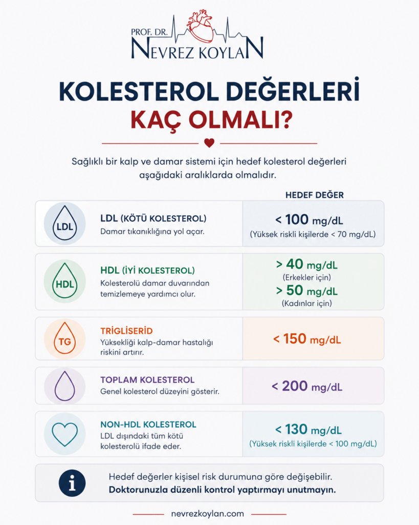 Minimalist tıbbi infografikte LDL, HDL, trigliserid ve toplam kolesterol için önerilen hedef değerler sade ikonlar ve renkli bilgi kutularıyla gösteriliyor.