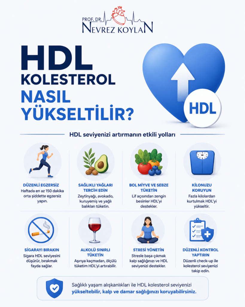 HDL kolesterolü artırmanın yollarını anlatan minimalist infografik; egzersiz, sağlıklı beslenme, sigarayı bırakma ve kilo kontrolü gibi kalp dostu yaşam alışkanlıklarını görselleştiriyor.