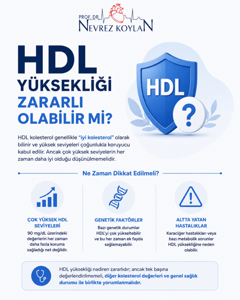 HDL yüksekliğinin her zaman koruyucu olmayabileceğini anlatan minimalist infografik; çok yüksek HDL seviyeleri, genetik faktörler ve altta yatan hastalıkların kalp sağlığıyla ilişkisini görselleştiriyor.
