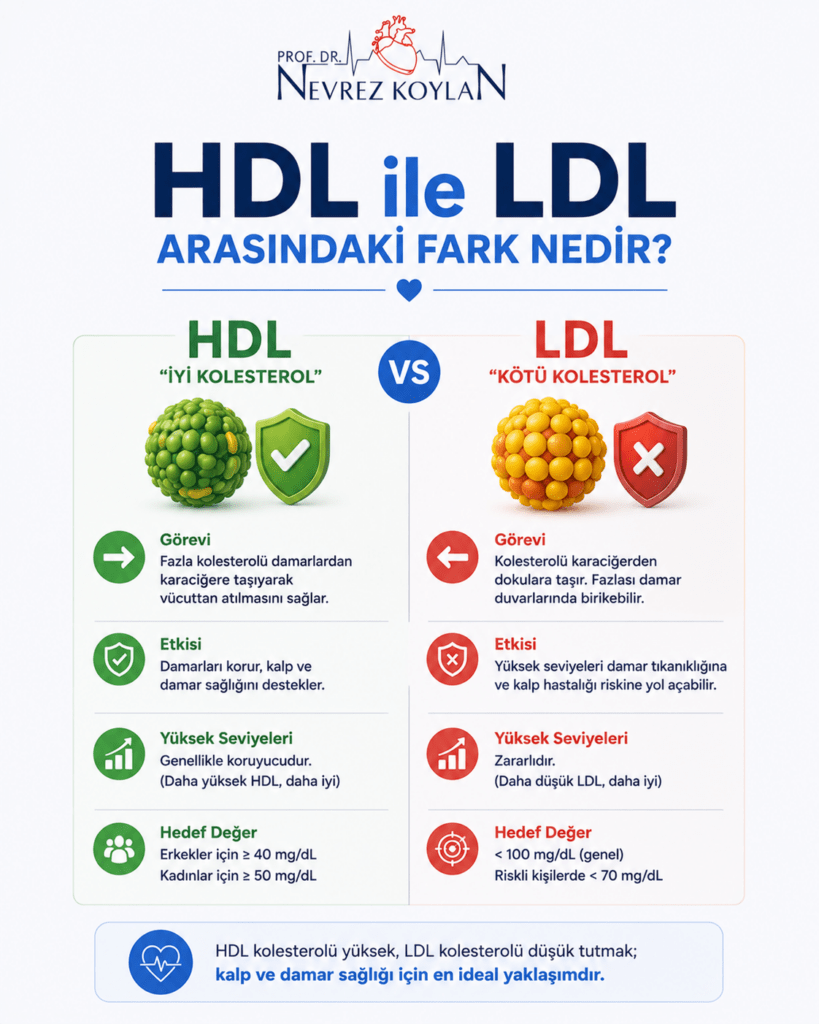 HDL ve LDL kolesterol arasındaki farkları anlatan minimalist infografik; iyi kolesterolün koruyucu etkisi ile kötü kolesterolün damar tıkanıklığı riskini sade ikonlar ve kalp-damar görselleriyle karşılaştırıyor.