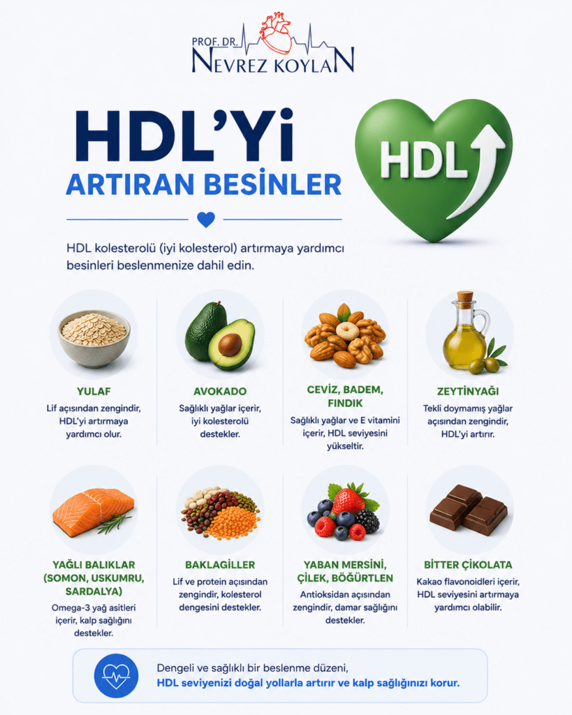 HDL kolesterolü artırmaya yardımcı besinleri anlatan minimalist infografik; avokado, zeytinyağı, balık, kuruyemiş ve sebzeleri kalp sağlığı temasıyla sade bir tasarım içinde gösteriyor.