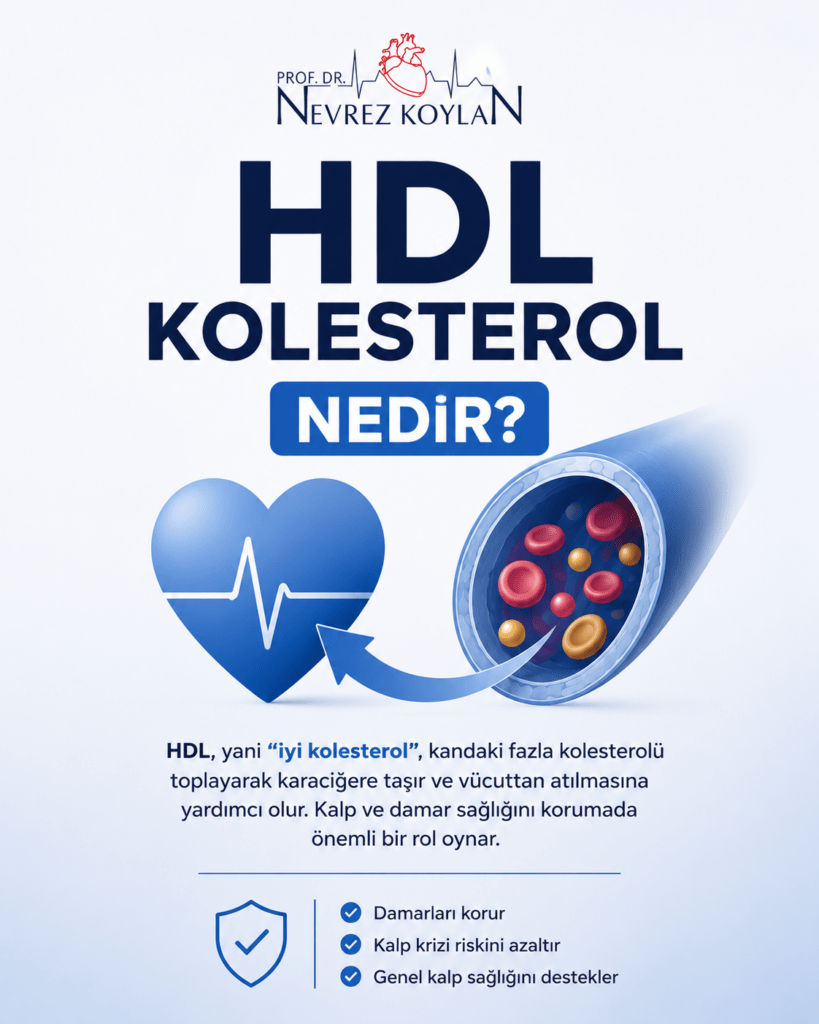bu blog yazısına göre "HDL Kolesterol Neden Önemlidir?" konulu basit ve minimalist bir görsel oluştur. Aspect ratio 4:5