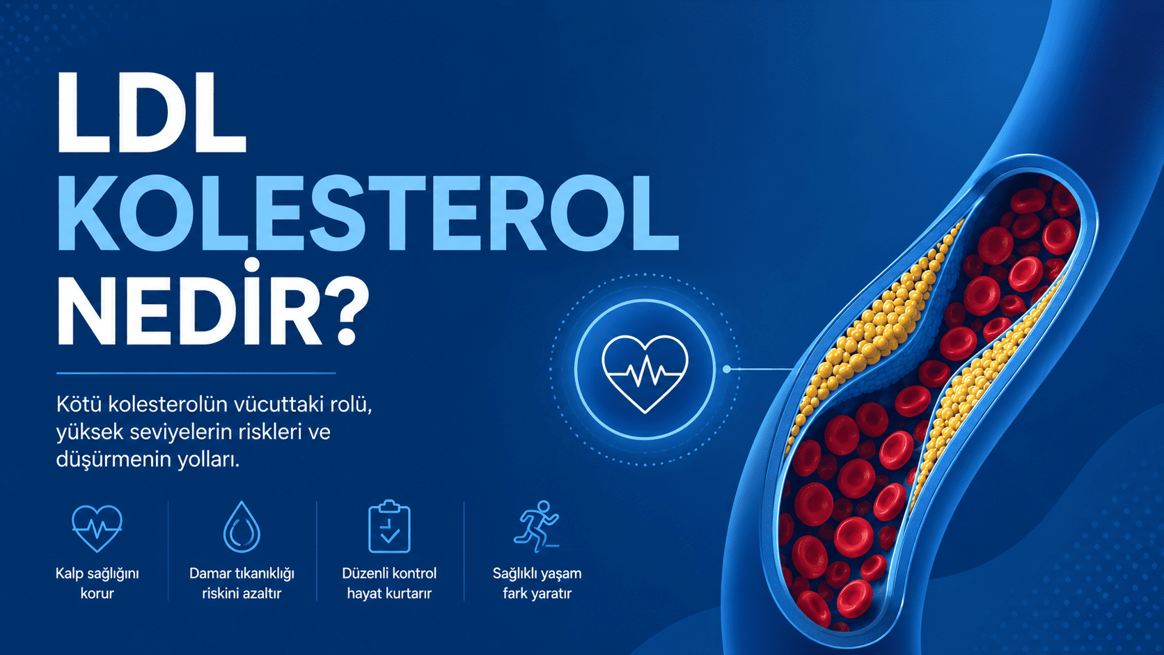 Damar içinde LDL kolesterol birikimini gösteren kesit görseli ve LDL kolesterolün kalp sağlığı üzerindeki etkilerini açıklayan minimalist mavi tıbbi infografik.