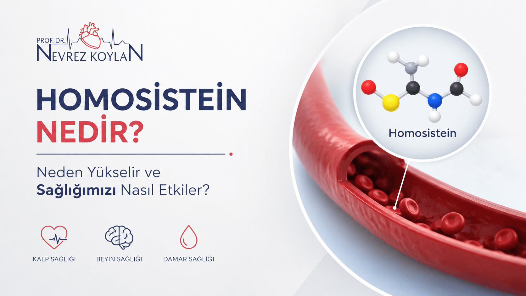 Homosistein nedir, neden yükselir ve sağlığı nasıl etkiler? Kalp-damar sağlığı, beyin sağlığı ve yüksek homosistein risklerini gösteren tıbbi infografik.