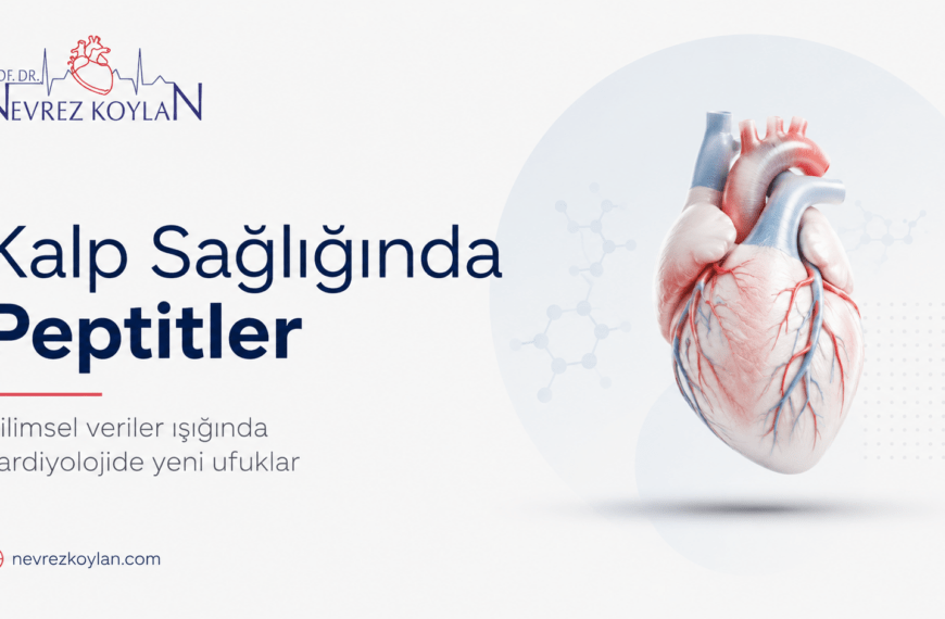 Kalp sağlığında peptitler konulu blog kapağı; beyaz minimalist arka plan üzerinde anatomik kalp illüstrasyonu, Nevrez Koylan logosu ve kardiyolojide peptitlerin rolünü vurgulayan modern tıbbi tasarım.