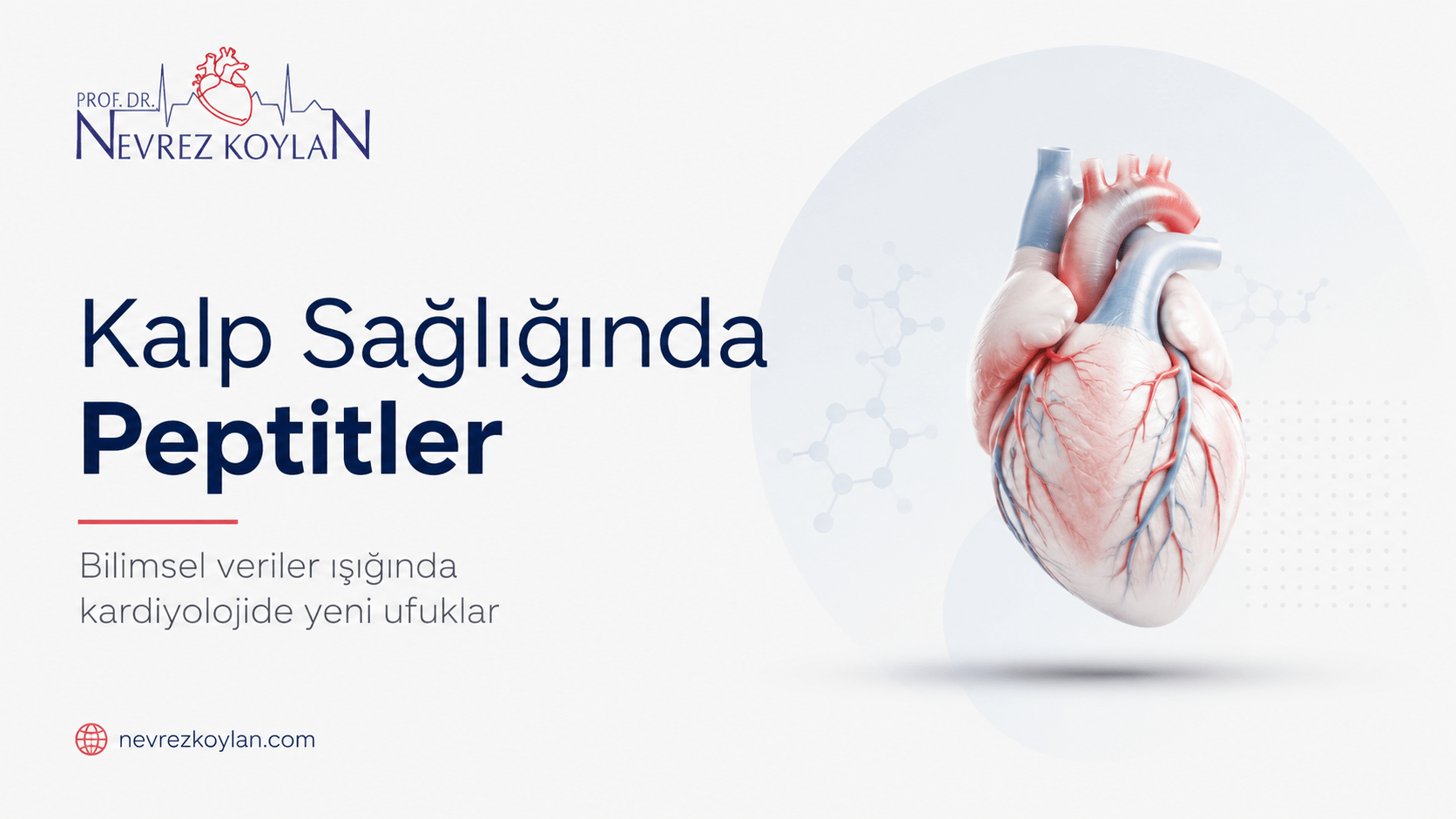 Kalp sağlığında peptitler konulu blog kapağı; beyaz minimalist arka plan üzerinde anatomik kalp illüstrasyonu, Nevrez Koylan logosu ve kardiyolojide peptitlerin rolünü vurgulayan modern tıbbi tasarım.