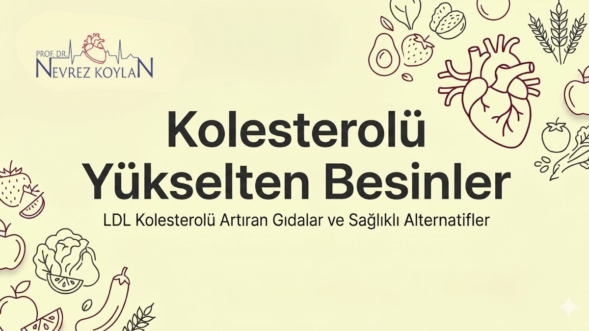 Prof. Dr. Nevrez Koylan - Kolesterolü Yükselten Besinler ve Sağlıklı Alternatifler Bilgilendirme Görseli