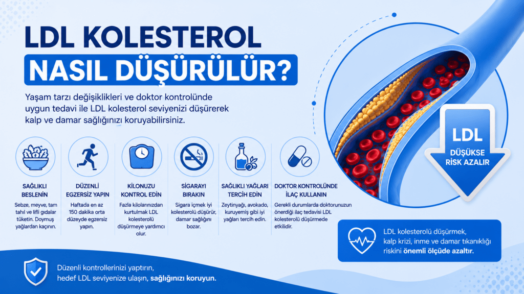 LDL kolesterolü düşürmek için sağlıklı beslenme, egzersiz, kilo verme ve sigarayı bırakmanın önemini gösteren mavi temalı tıbbi infografik.